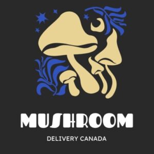 Shrooms Delivery | Shroomsdelivery | shroomsdeliveredcanada | Shrooms Delivery Canada