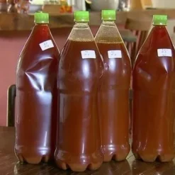 Buy Ayahuasca Tea Online Canada