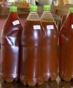 Buy Ayahuasca Tea Online