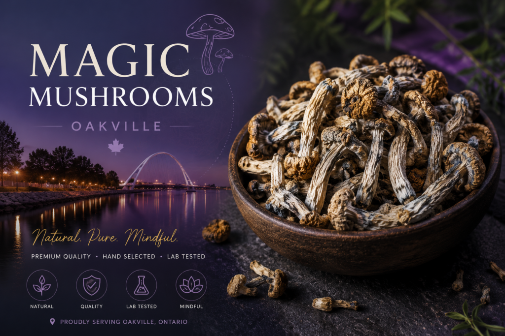 Buy Magic Mushrooms Oakville | Magic Mushrooms delivery Oakville