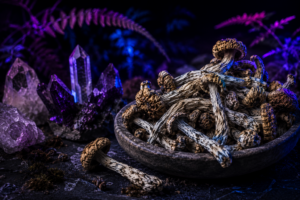 magic mushrooms vancouver | buy magic mushrooms vancouver