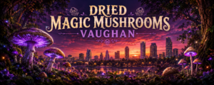 Magic Mushrooms Vaughan