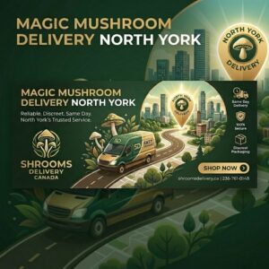 Magic Mushrooms North York | magic mushroom delivery north york