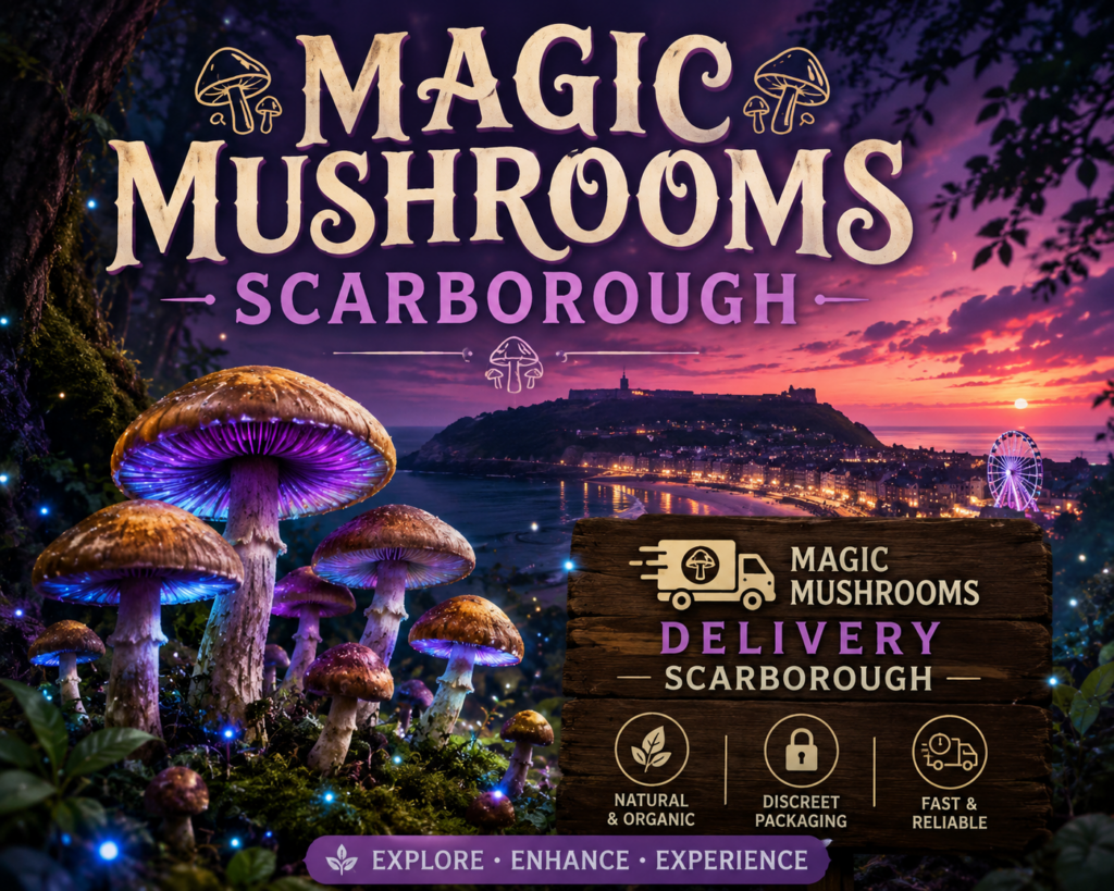 magic mushrooms scarborough