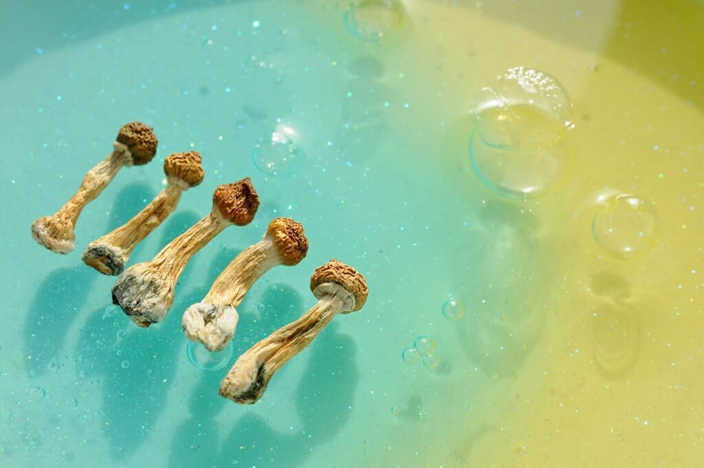 How to Prepare for a Safe Psilocybin Experience in Canada
