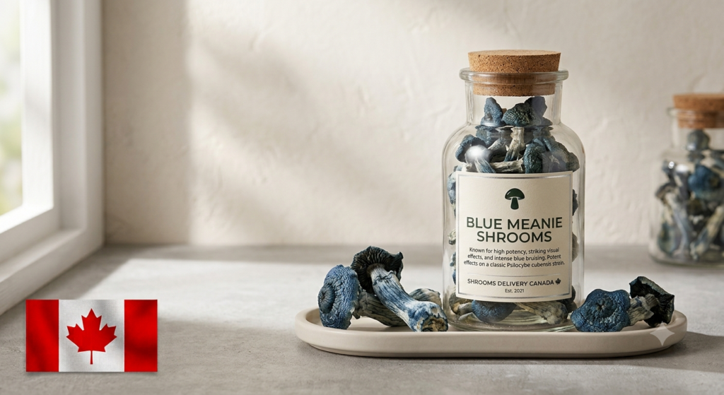 Blue Meanie Shrooms: Effects,