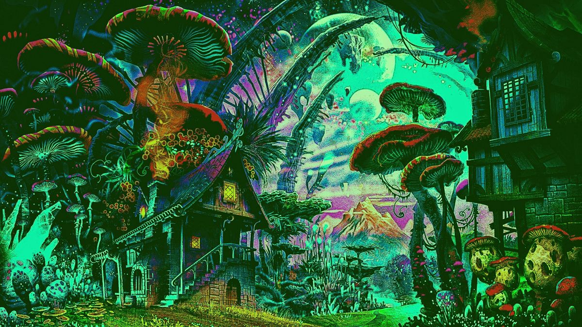 Best Canadian Psilocybin Dispensaries Guide